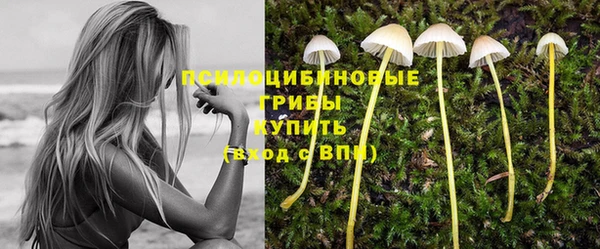 ГАЛЛЮЦИНОГЕННЫЕ ГРИБЫ Арсеньев