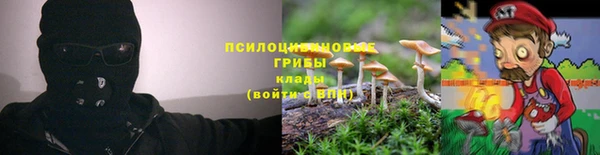 эйфоретик Алексин