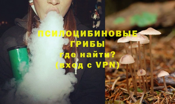 ГАЛЛЮЦИНОГЕННЫЕ ГРИБЫ Арсеньев